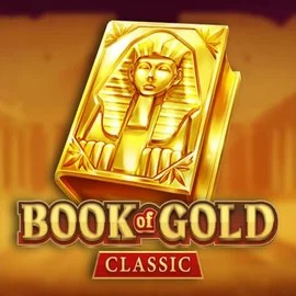 game logo by Playson on voodoocasino.eu.com