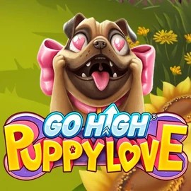 game logo by RubyPlay on voodoocasino.eu.com